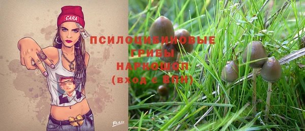 a pvp Лиски